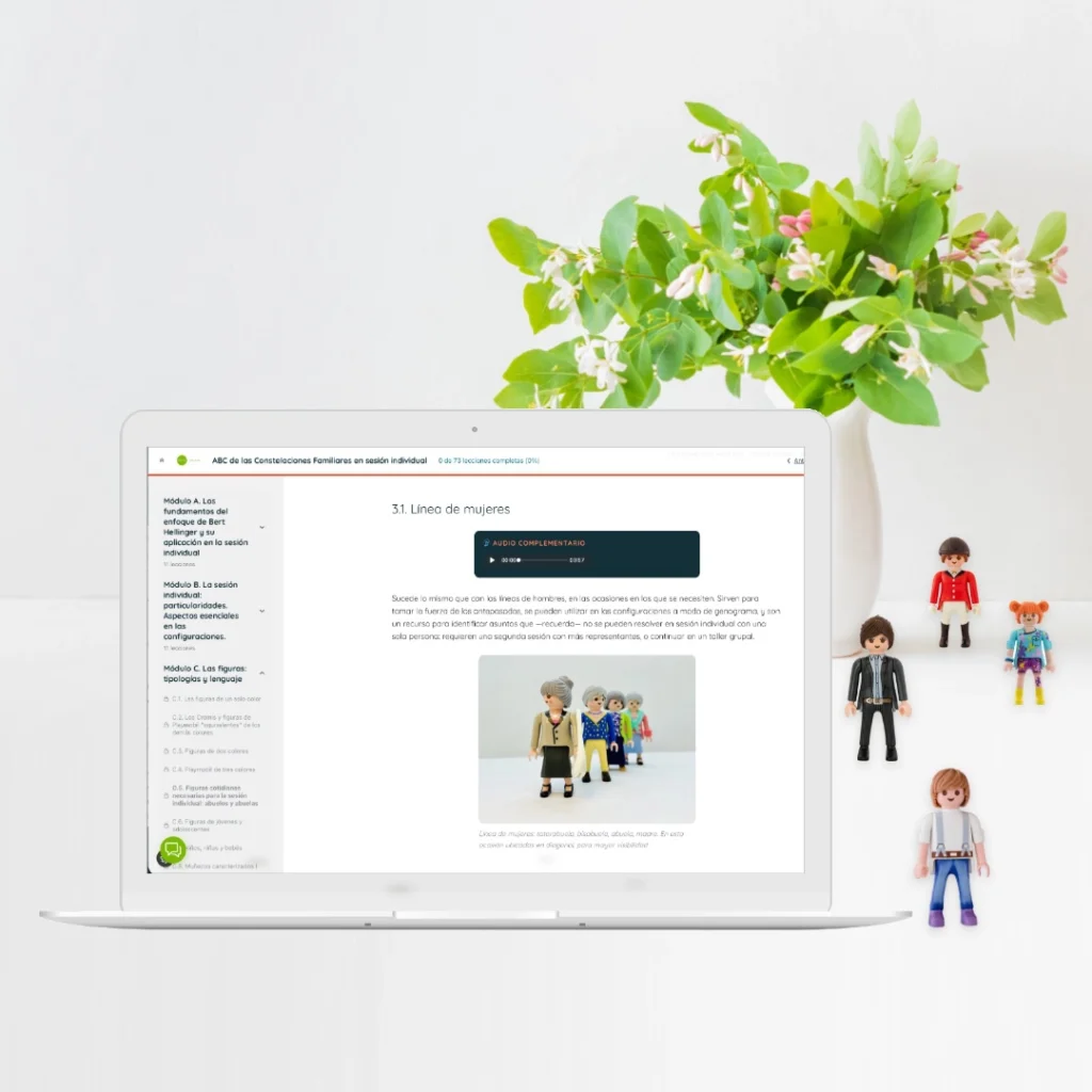 Curso online el ABC de las Constelaciones Familiares en sesión individual.